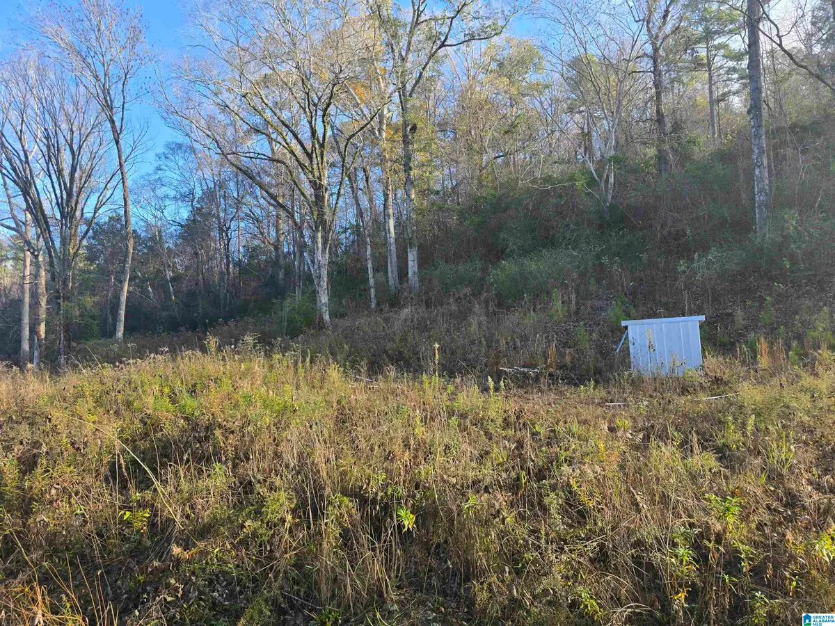 0000 COUNTY ROAD 110, Verbena, AL 36091 - Image #1