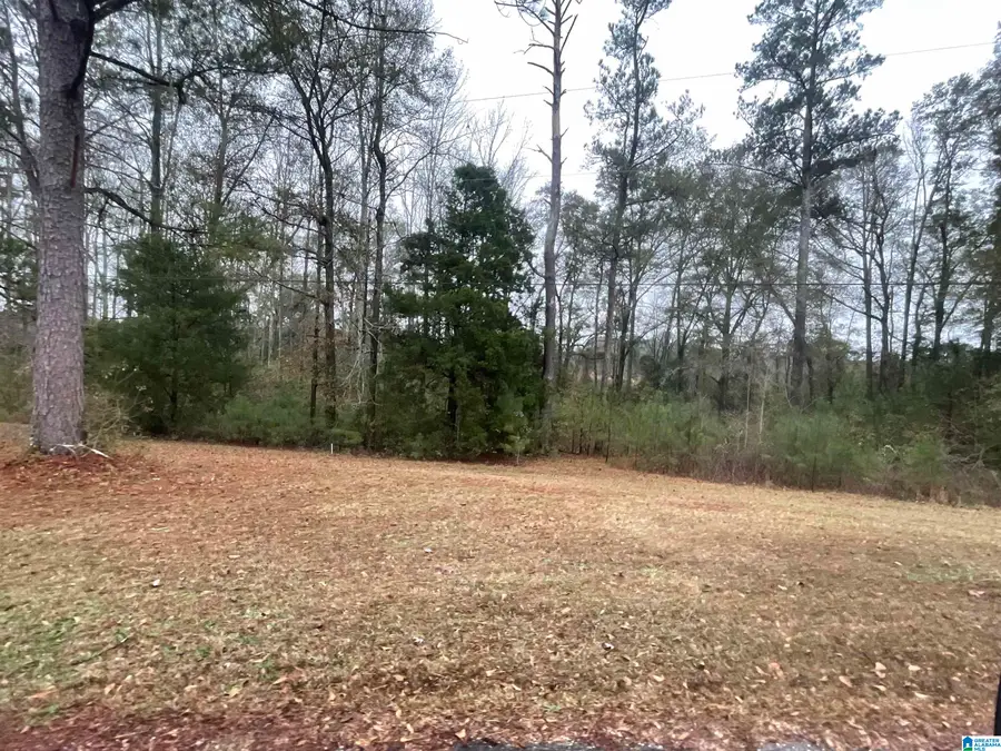 0 FRIENDSHIP CIRCLE, Clanton, AL 35045 - Image #2
