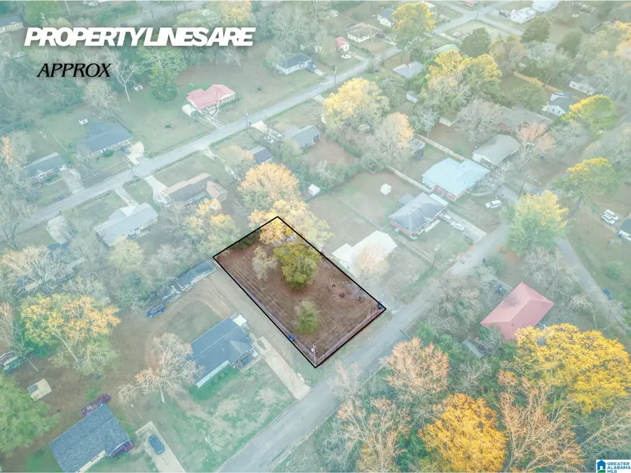 0 ROBERSON STREET SW, Jacksonville, AL 36265 - Image #2