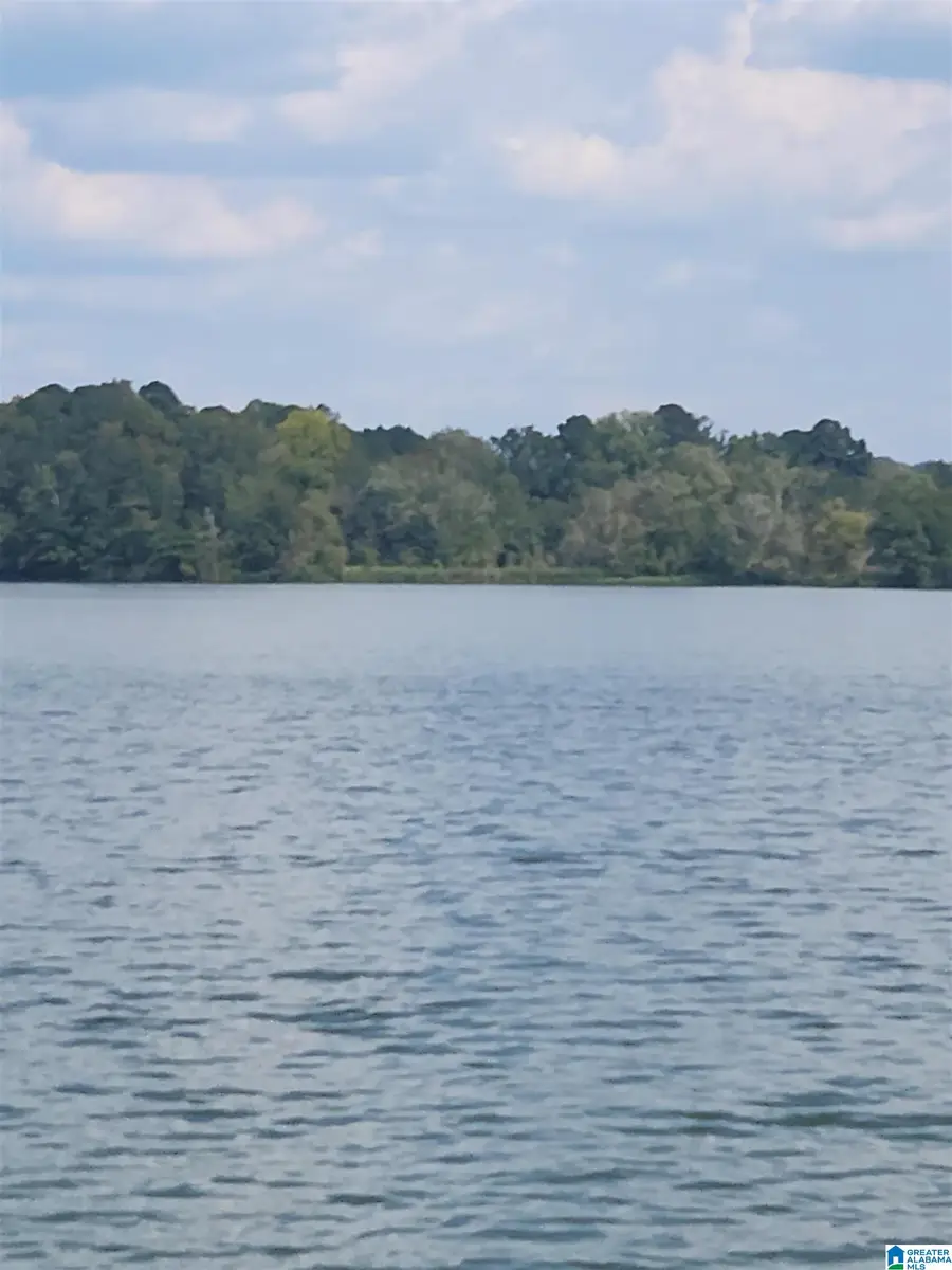 0 CHOCCOLOCCO CREEK ISLAND, Childersburg, AL 35044 - Image #2