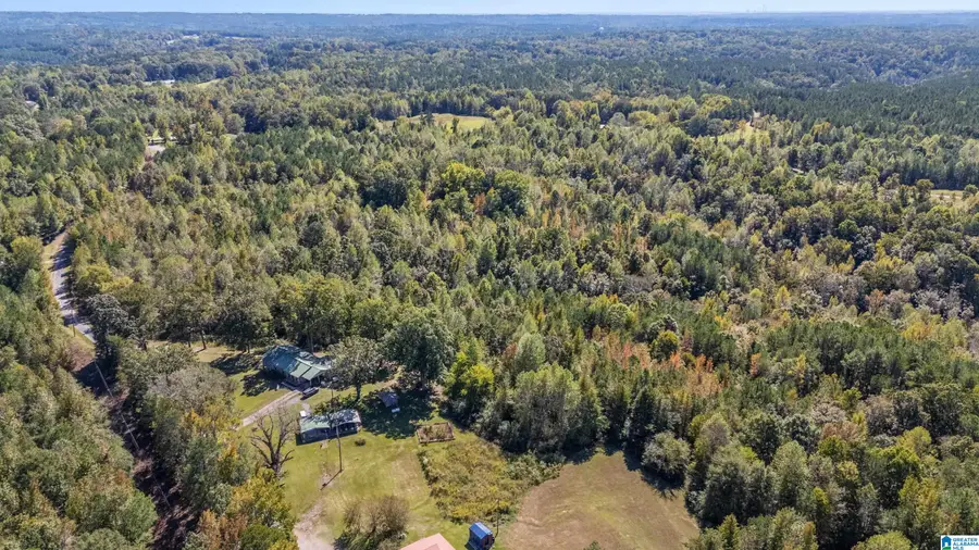 0 PHILLIPS LANE, Empire, AL 35063 - Image #2