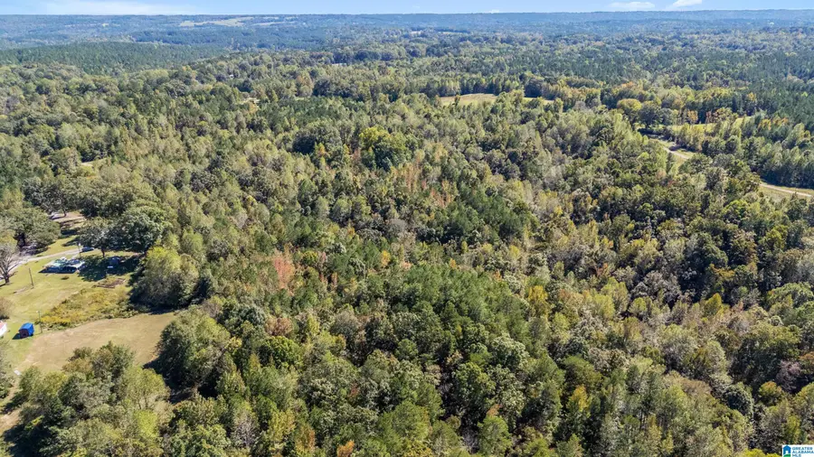 0 PHILLIPS LANE, Empire, AL 35063 - Image #3