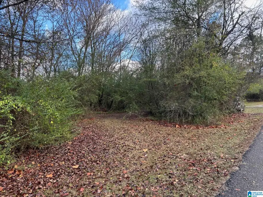 0 FRANCIS STREET, Anniston, AL 36206 - Image #2