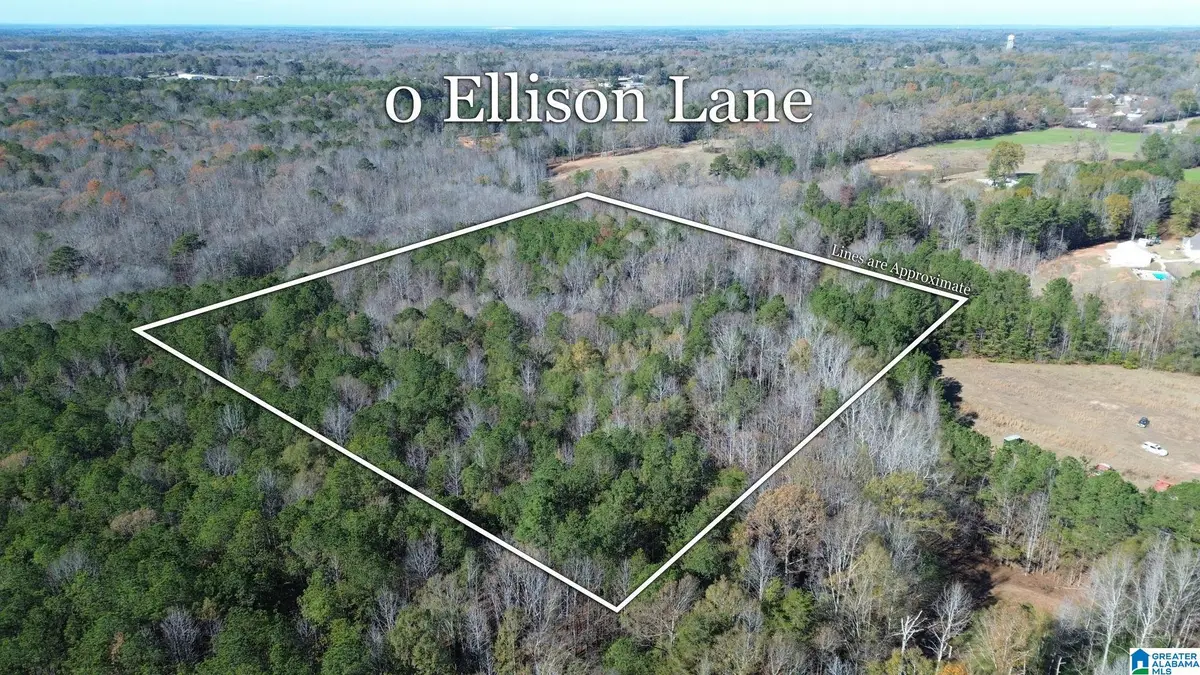 0 ELLISON ROAD, Jemison, AL 35085 - Image #1