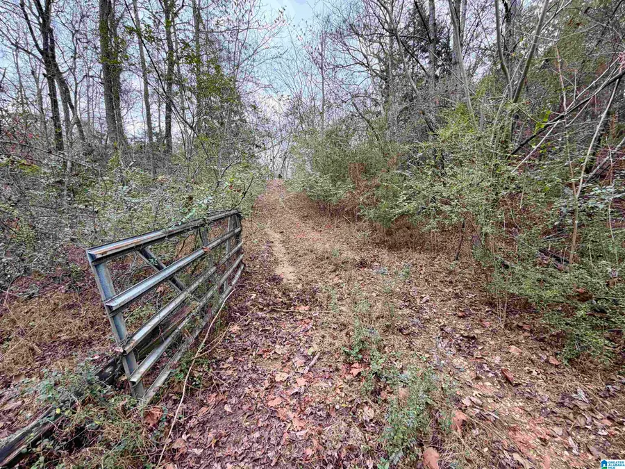 0 ELLISON ROAD, Jemison, AL 35085 - Image #2