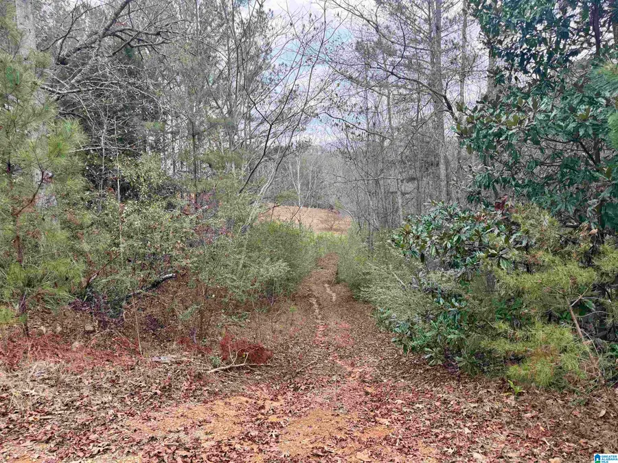 0 ELLISON ROAD, Jemison, AL 35085 - Image #3