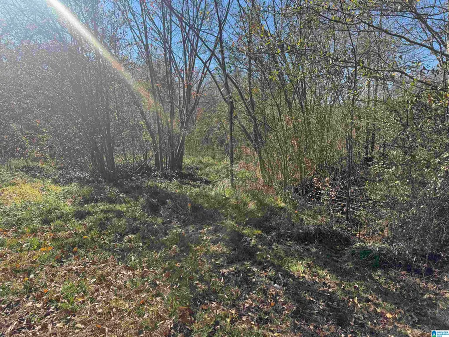 0 GLADE ROAD, Anniston, AL 36206 - Image #3