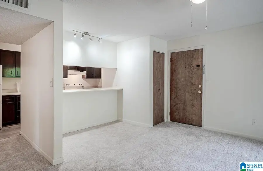 405 SKYVIEW DRIVE, Birmingham, AL 35209 - Image #3