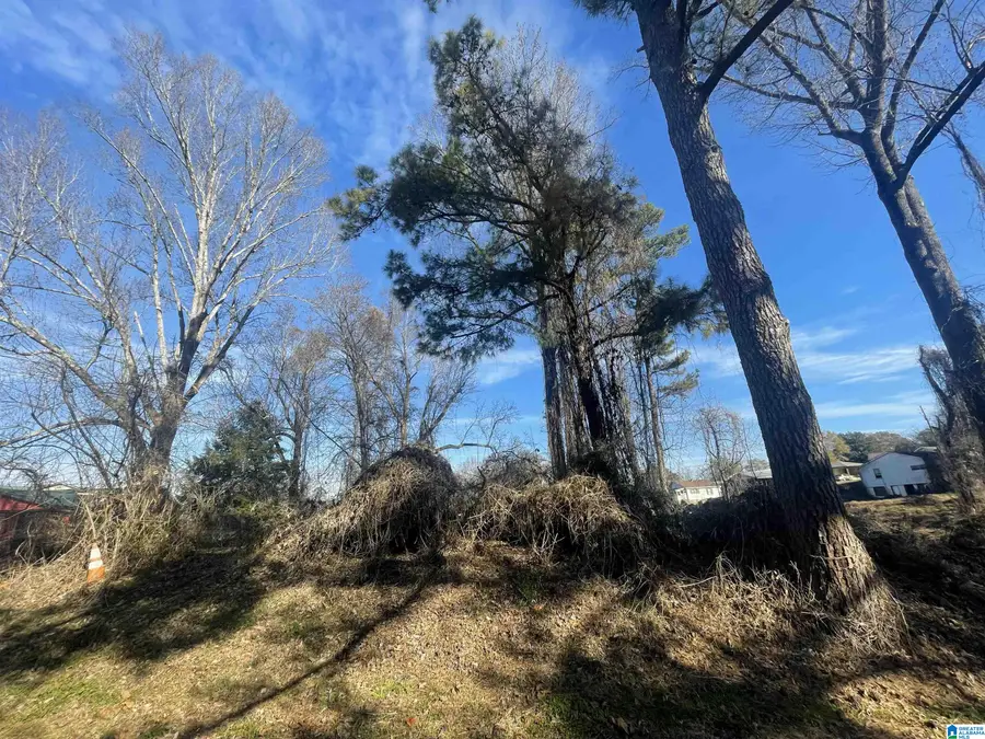 142 6TH COURT SW, Graysville, AL 35073 - Image #2