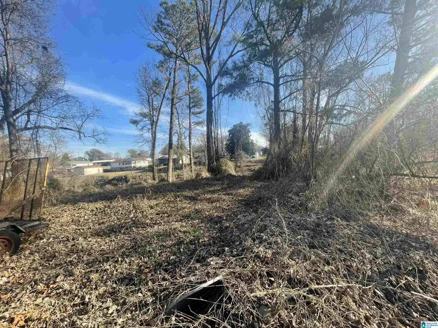 142 6TH COURT SW, Graysville, AL 35073 - Image #3