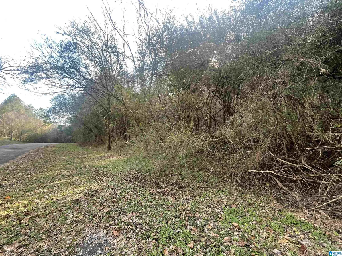 4380 CHERRY AVENUE, Graysville, AL 35073 - Image #1