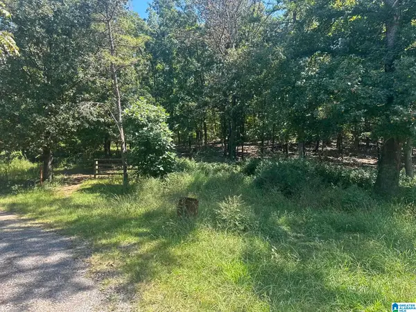 8 BLUE RIDGE DRIVE, Talladega, AL 35160