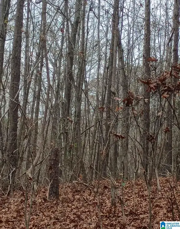 COUNTY HIGHWAY 26, Blountsville, AL 35031