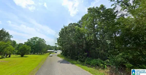 COUNTY ROAD 20, Haleyville, AL 35565