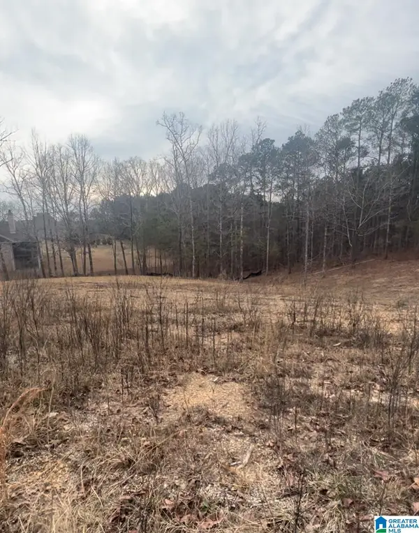 0 LAKESHORE LOOP, Oneonta, AL 35121