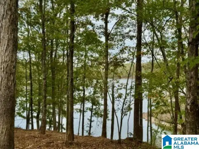 Lot 2 DANCING WATERS WAY, Wedowee, AL 36278 - #2