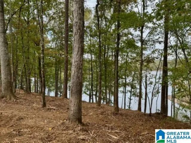 lot 3 DANCING WATERS WAY, Wedowee, AL 36278 - #3