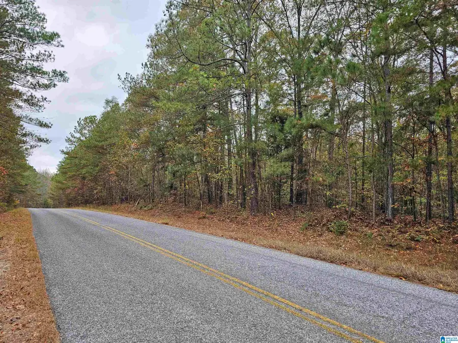 UNKN COUNTY ROAD 60, Heflin, AL 36264 - Image #2