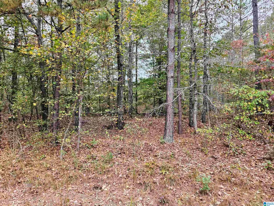 UNKN COUNTY ROAD 60, Heflin, AL 36264 - Image #3
