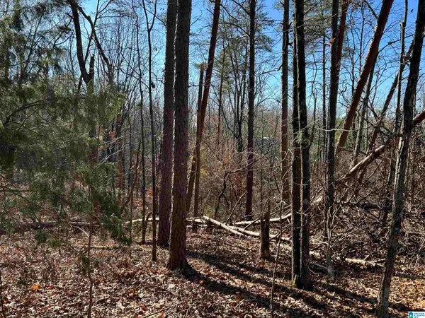 113 N HIGHLAND DRIVE, Columbiana, AL 35051