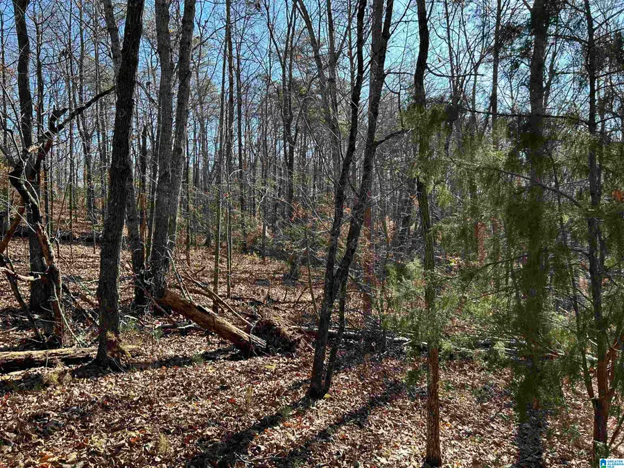 113 N HIGHLAND DRIVE, Columbiana, AL 35051 - #2