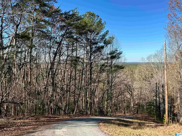 111 N HIGHLAND DRIVE, Columbiana, AL 35051