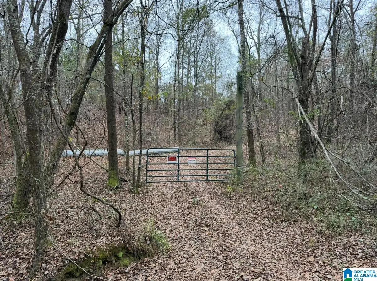 32 N COUNTY ROAD, Marbury, AL 36051 - Image #1