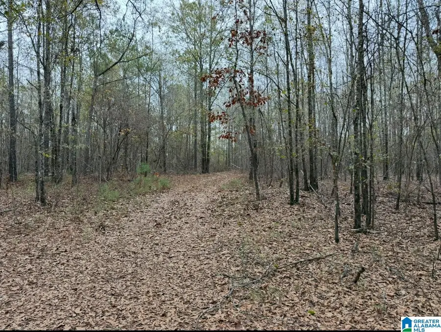 32 N COUNTY ROAD, Marbury, AL 36051 - Image #3