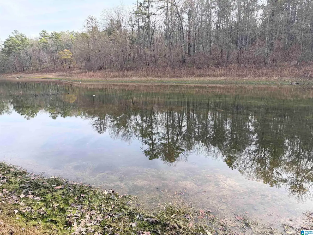 0 AEPEAN WAY, Alpine, AL 35014 - Image #1