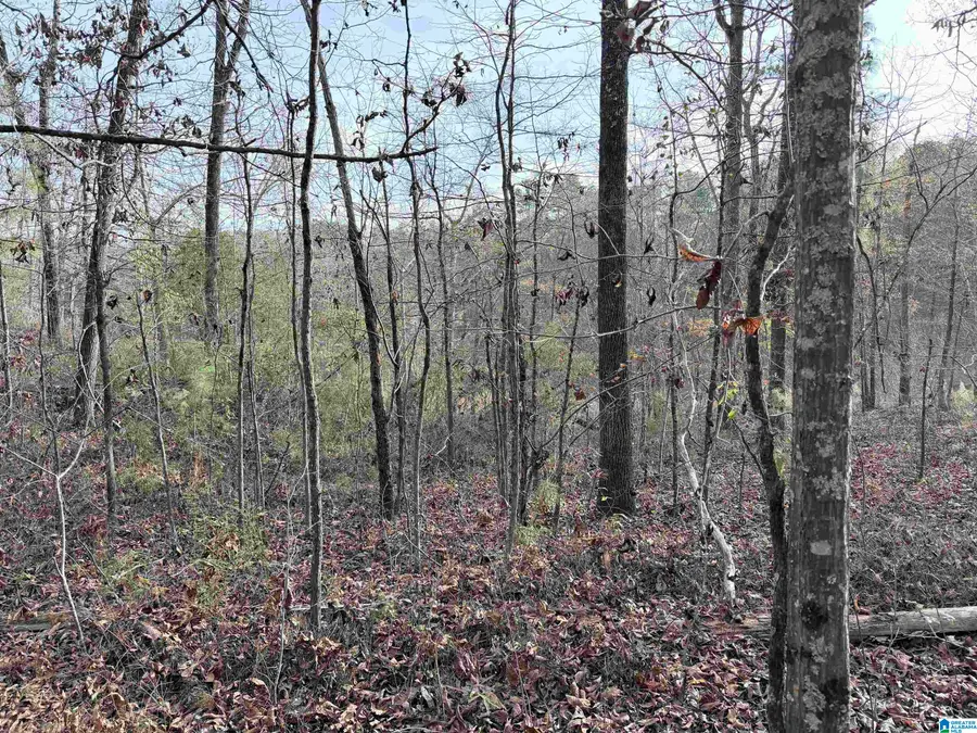 0 AEPEAN WAY, Alpine, AL 35014 - Image #2