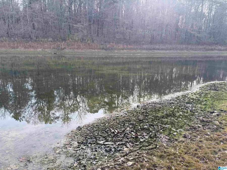 0 AEPEAN WAY, Alpine, AL 35014 - Image #3