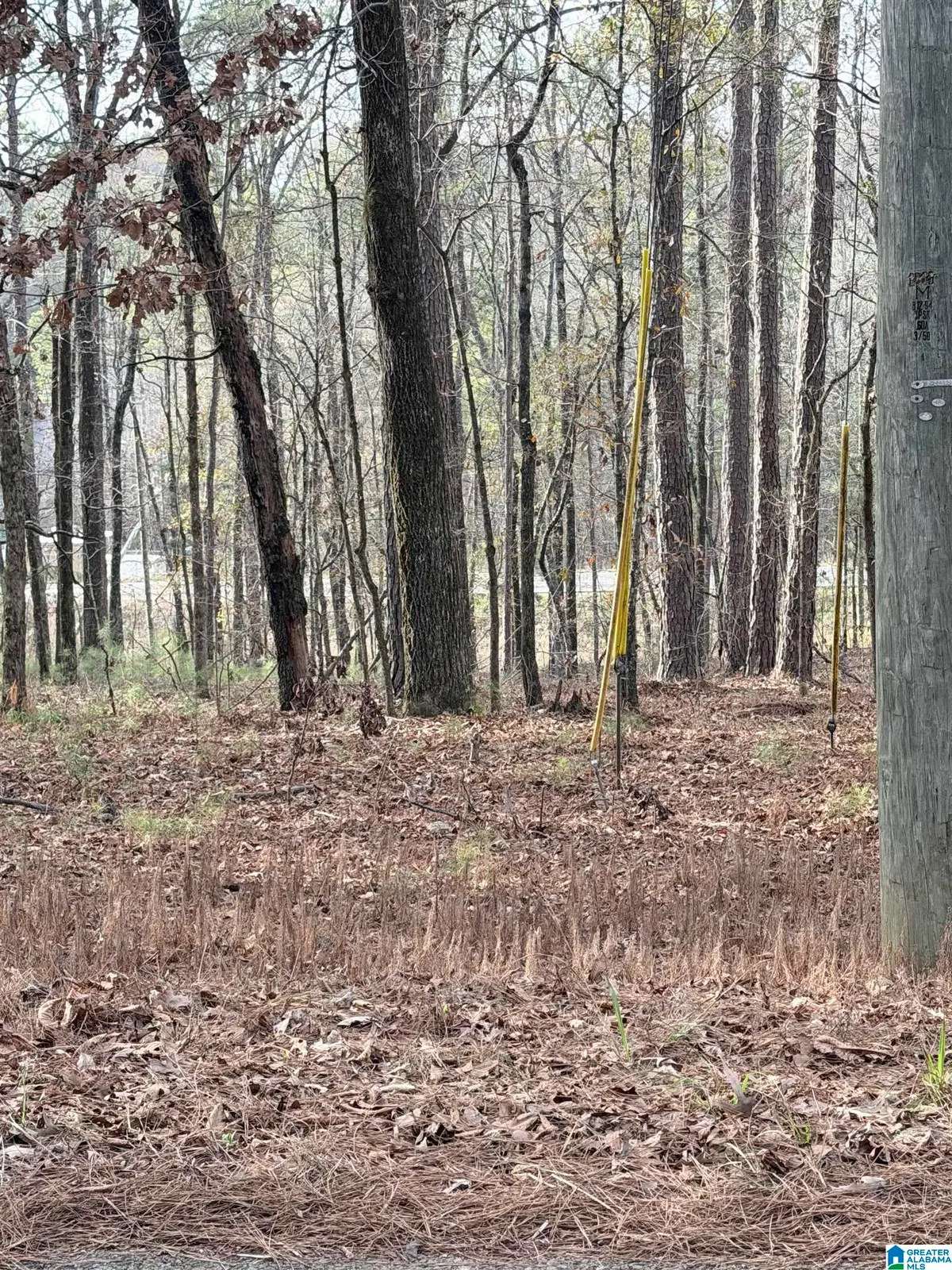 0 RENFROE ROAD, Alpine, AL 35014 - Image #1