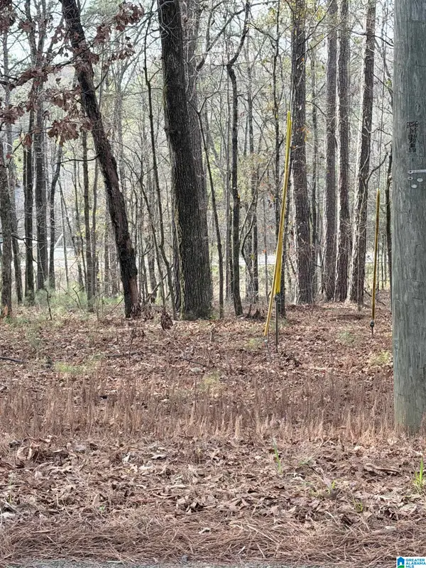 0 RENFROE ROAD, Alpine, AL 35014