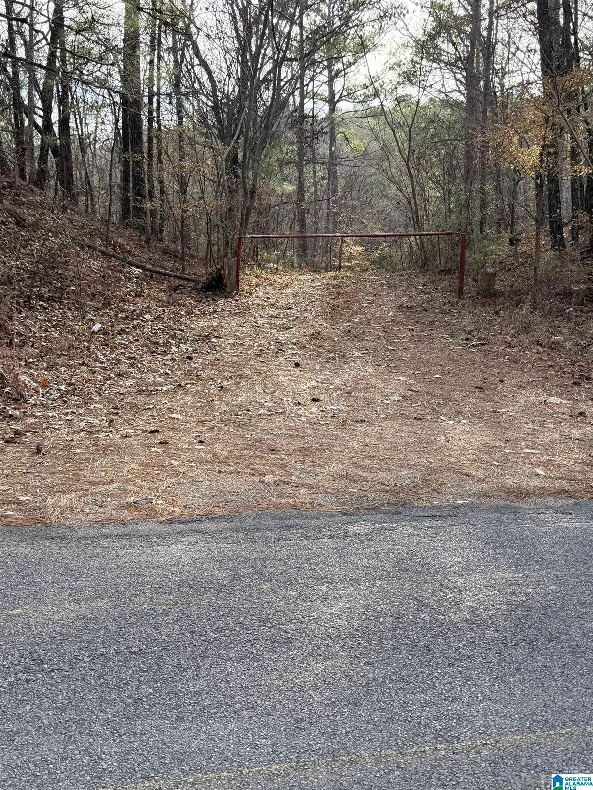 0 APOLLO DRIVE, Alpine, AL 35014 - Image #1