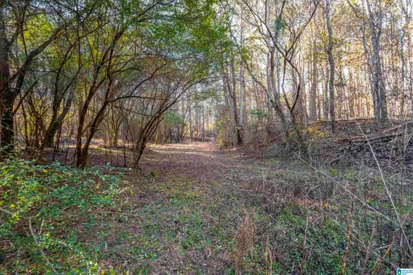 2040 BROOKSIDE ROAD, Mount olive, AL 35117