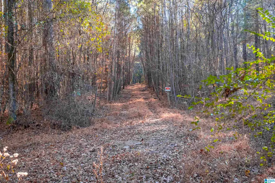 2040 BROOKSIDE ROAD, Mount Olive, AL 35117 - #3