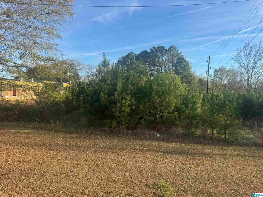 0 HIGHWAY 78 W, Oxford, AL 36203 - Image #2