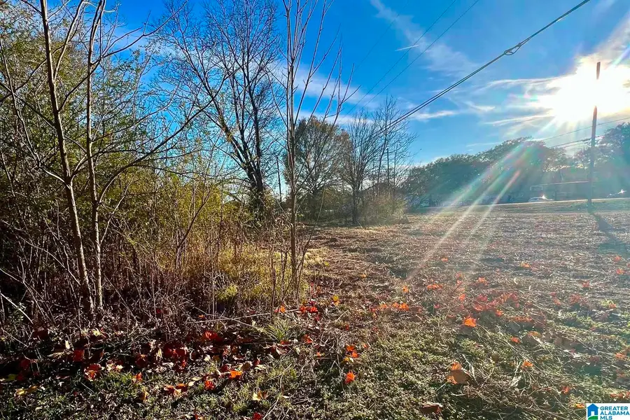 120 BAKER AVENUE, Hueytown, AL 35023 - #2