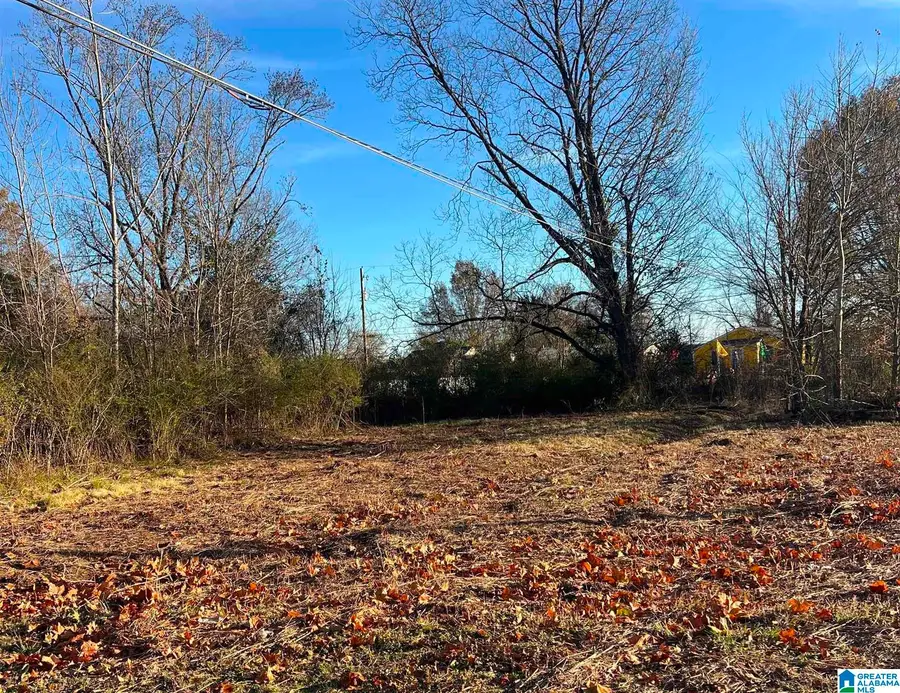 120 BAKER AVENUE, Hueytown, AL 35023 - #3