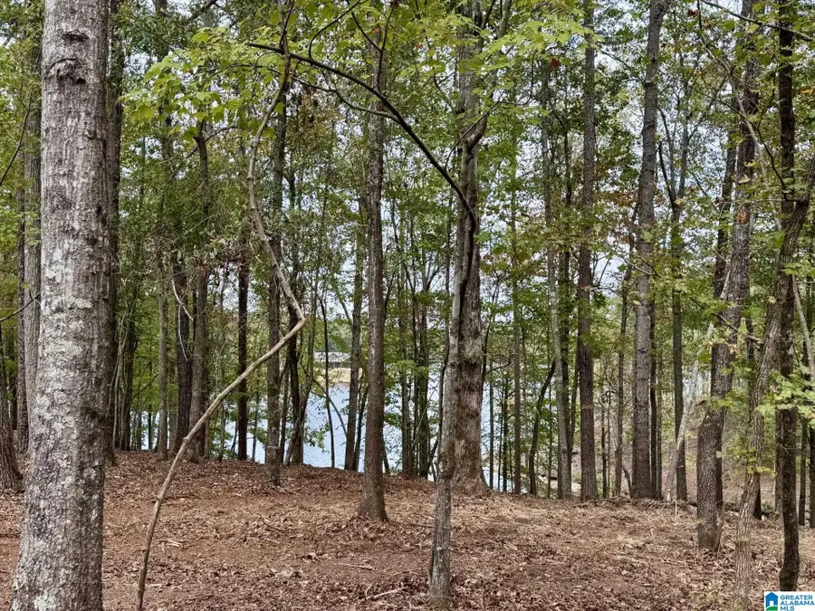 DANCING WATERS WAY, Wedowee, AL 36278 - #3