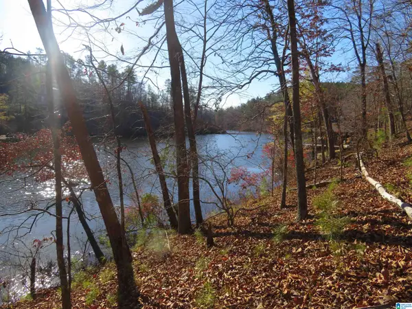 Lot 4 COVE DRIVE, Rockford, AL 35136