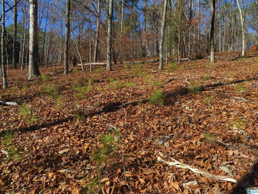Lot 4 COVE DRIVE, Rockford, AL 35136 - Image #3