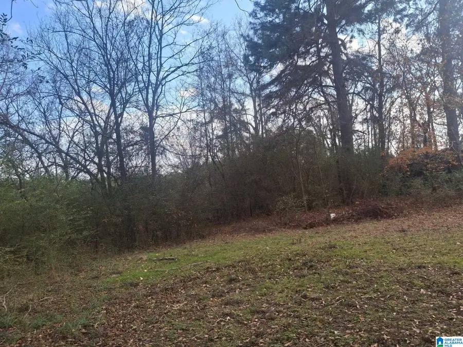 8475 COUNTY LINE ROAD, Sumiton, AL 35148 - Image #2