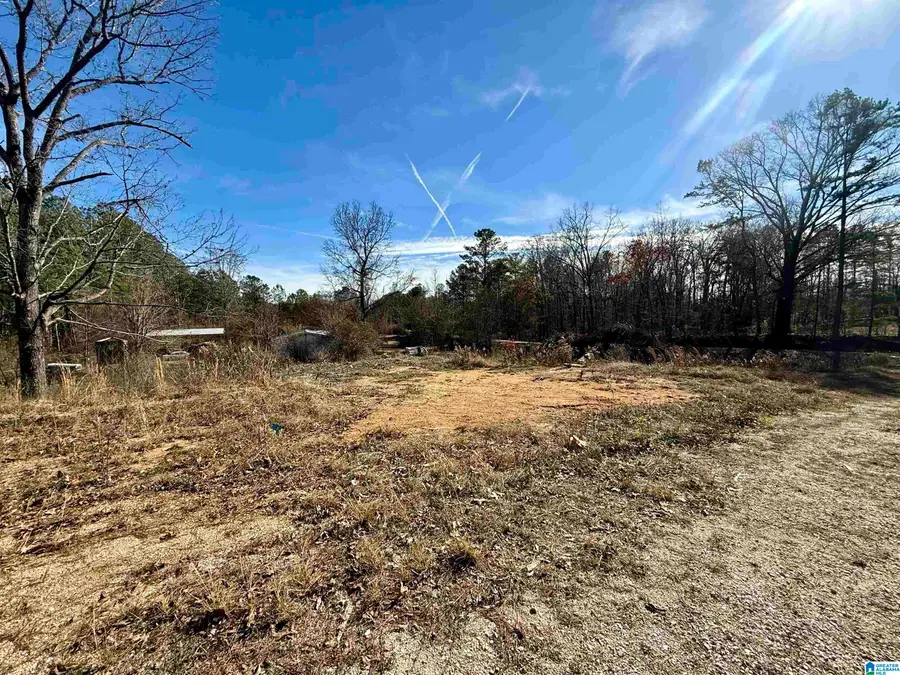 196 ARCO DAIRY ROAD, Alpine, AL 35014 - Image #2