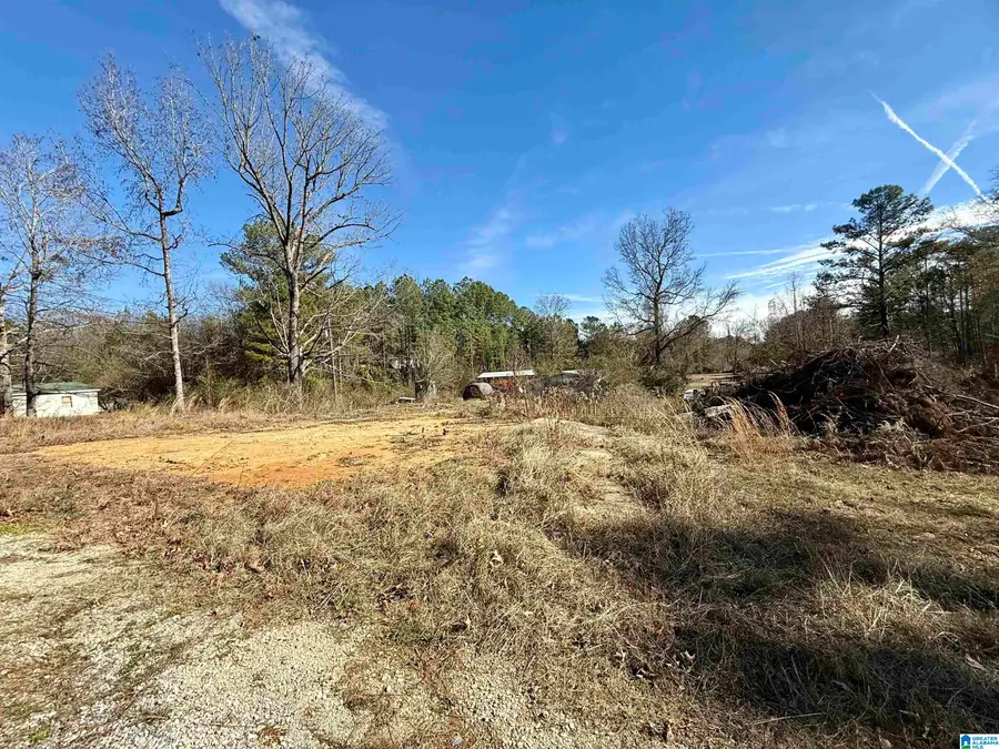 196 ARCO DAIRY ROAD, Alpine, AL 35014 - Image #3