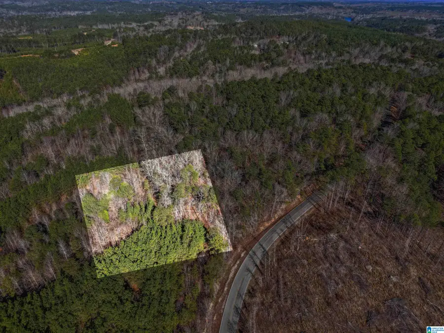 15065 LOCK 17 ROAD, Adger, AL 35006 - #3