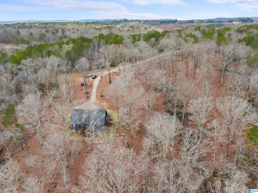 463 WILDBERRY LANE, Newell, AL 36280 - Image #2