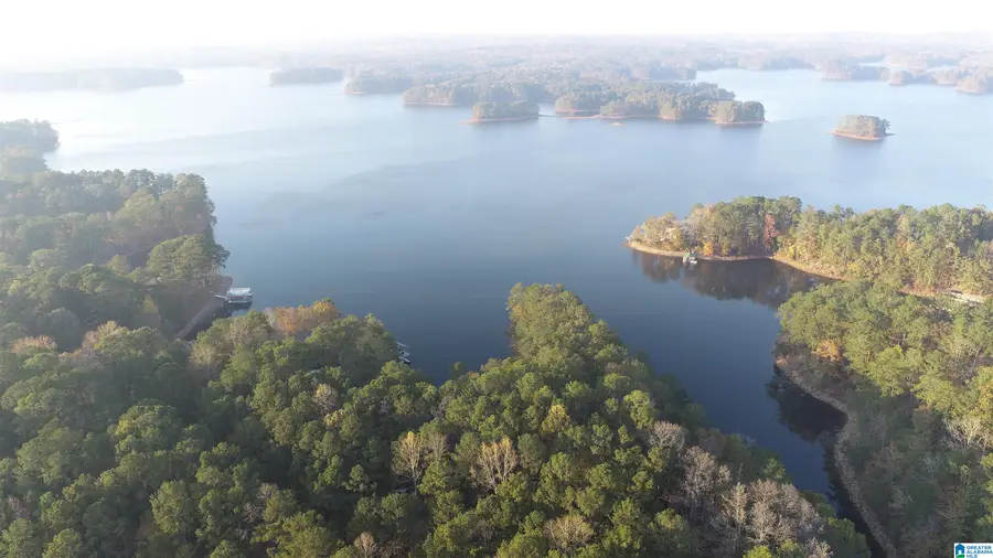 3 COUNTY ROAD 804, Wedowee, AL 36278 - Image #3