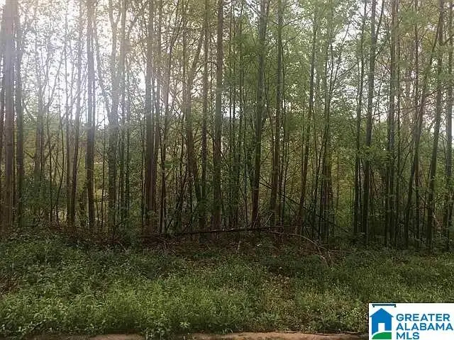 6783 IVY WAY, Trussville, AL 35173 - Image #1