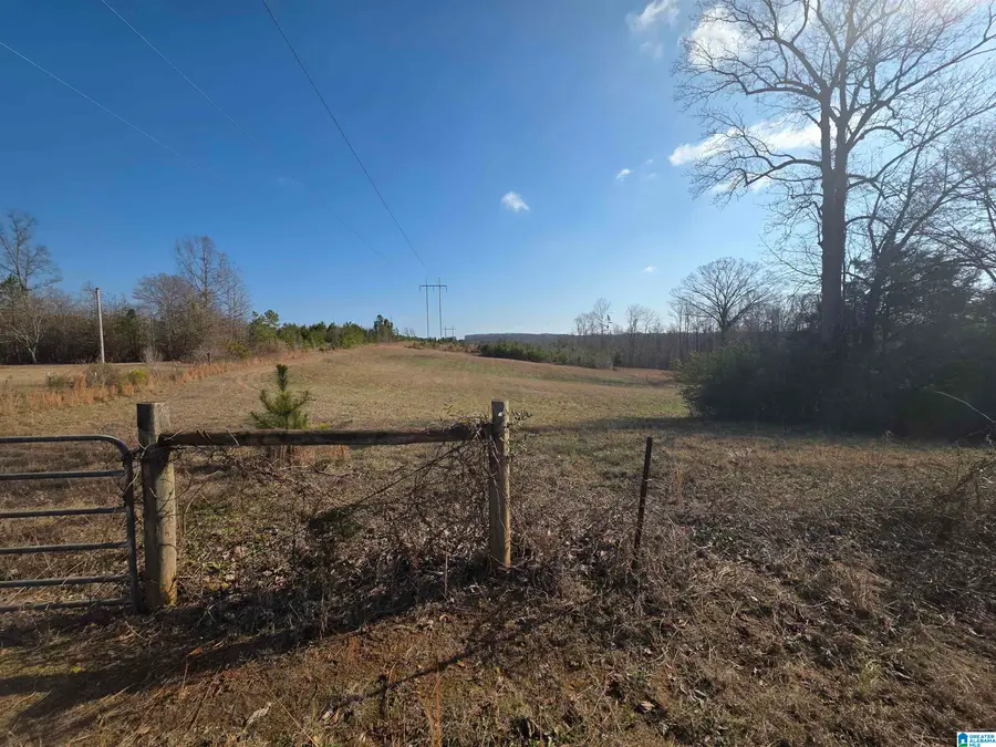 0 COUNTY ROAD 281, Lineville, AL 36266 - Image #2